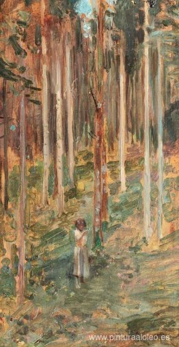 Madera de Abedul Madera de Abedul