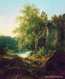 Vista de la isla de Valaam Vista de la isla de Valaam