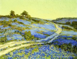 Bluebonnets, al final de la tarde Bluebonnets, al final de la tarde