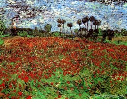 campo con amapolas campo con amapolas