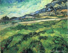 El campo de trigo verde detrás del asilo El campo de trigo verde detrás del asilo