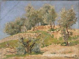 madera de olivo madera de olivo