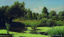 El paisaje. Los juncos en el río. El paisaje. Los juncos en el río.