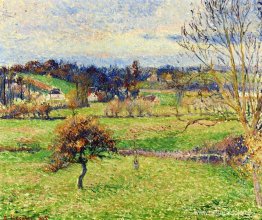 Campo en Eragny Campo en Eragny