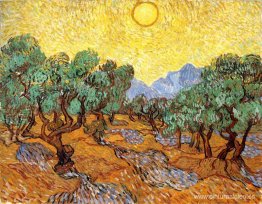 Olivos con cielo amarillo y sol. Olivos con cielo amarillo y sol.