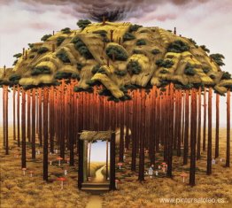 Rey Boleto Rey Boleto