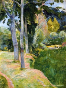 el arbol grande el arbol grande