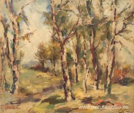 Bosques de abedules Bosques de abedules