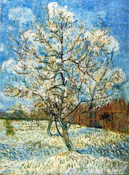 Melocotoneros en flor Melocotoneros en flor