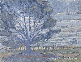 paisaje de willunga paisaje de willunga