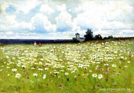 campo de margaritas campo de margaritas