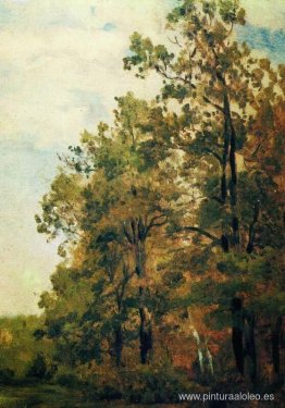 Borde del bosque Borde del bosque