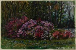 Azaleas de Alicia en el río St. Mary Azaleas de Alicia en el río St. Mary