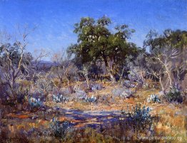 Un día de enero en Brush Country Un día de enero en Brush Country