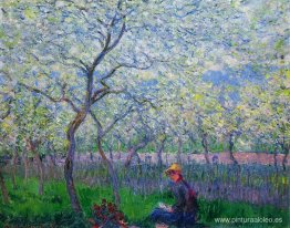 Un huerto en primavera Un huerto en primavera