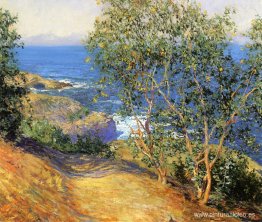 Árboles de tabaco indios, La Jolla Árboles de tabaco indios, La Jolla