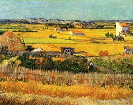 Vendimia en La Crau, con Montmajour al fondo Vendimia en La Crau, con Montmajour al fondo