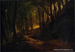 Robledo de San Terenzo Robledo de San Terenzo