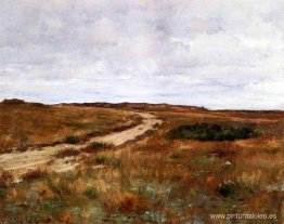 Colinas de Shinnecock Colinas de Shinnecock