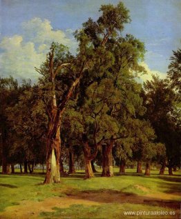 Olmos viejos en Prater Olmos viejos en Prater