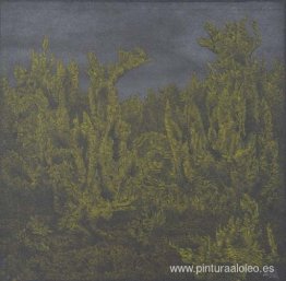 Farnlandschaft Farnlandschaft