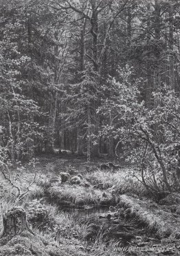 pantano del bosque pantano del bosque