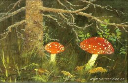 Hongos venenosos bajo el árbol Hongos venenosos bajo el árbol