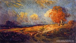 Ladera iluminada por el sol Ladera iluminada por el sol