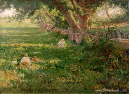 Primavera Primavera