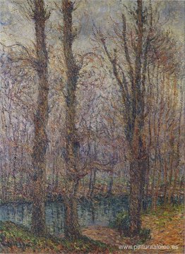 árboles junto al río árboles junto al río