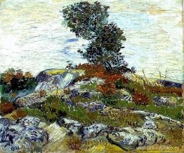 Las rocas con roble Las rocas con roble