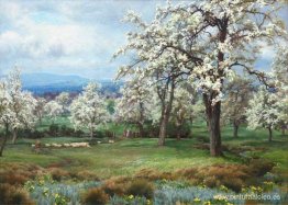 El huerto de peras El huerto de peras