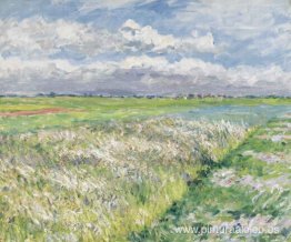 Campos, Llanura de Gennevilliers Campos, Llanura de Gennevilliers