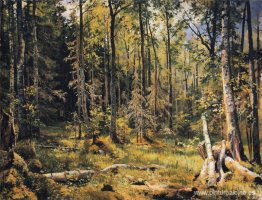 Bosque Mixto. Shmetsk cerca de Narva Bosque Mixto. Shmetsk cerca de Narva