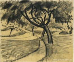 Árboles y campos Árboles y campos