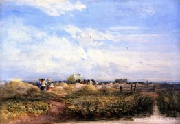 El campo de heno El campo de heno