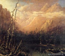 Barranco de Tuckerman Barranco de Tuckerman