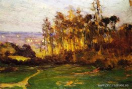 Borde del bosque Borde del bosque