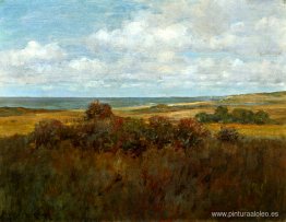 Paisaje de Shinnecock Paisaje de Shinnecock