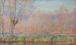 los sauces los sauces