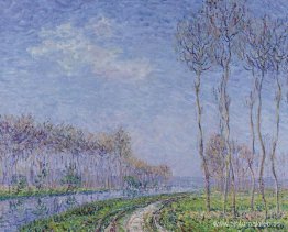 árboles junto al río árboles junto al río