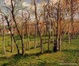 Pradera en Bazincourt Pradera en Bazincourt