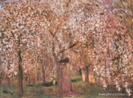 Flores de cerezo Flores de cerezo