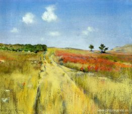 Colinas de Shinnecock Colinas de Shinnecock