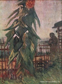 El jardín con girasol El jardín con girasol