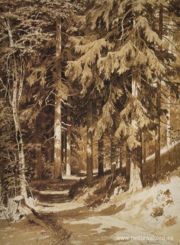 Camino en el bosque Camino en el bosque