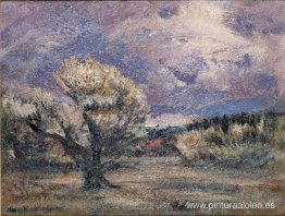 arbusto rosa arbusto rosa