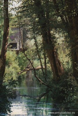 Estanque en Wehle Estanque en Wehle