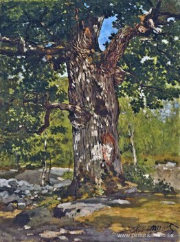 El roble de Bodmer El roble de Bodmer