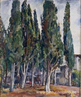 Crimea. Ciprés. Crimea. Ciprés.